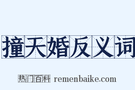 撞天婚反义词是什么意思的图片